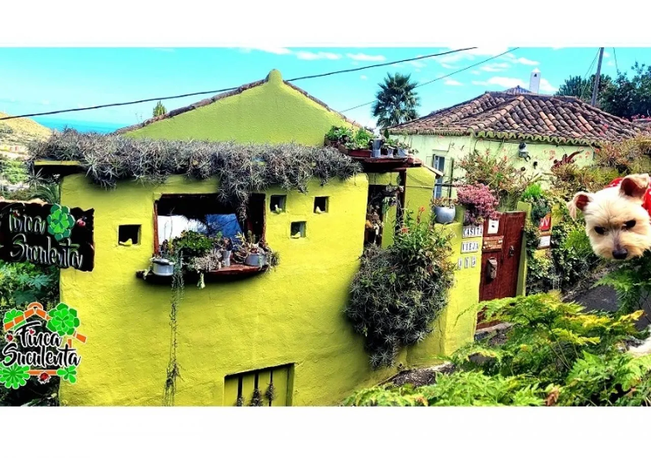 Finca suculenta Maracuya 4345